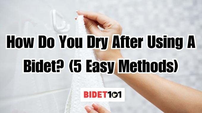 How Do You Dry After Using A Bidet (5 Easy Methods)