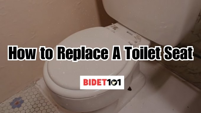 How to Replace a Toilet Seat or
